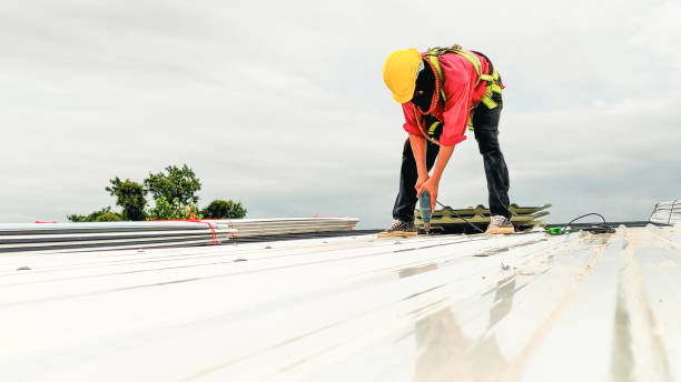 Best Roof Inspection  in Walker, LA